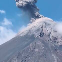 Er zeigt was er kann