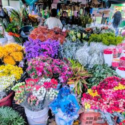 Streifzug durch den riesigen Markt