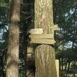 Aus Richtung Kanada komme ich gerade, war 7 Meilen weg von der Grenze.