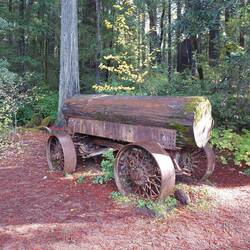 So wurden die früher bevördert.