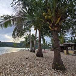 Guten Morgen Welt !!!