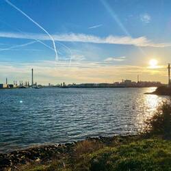 Unterquerung der Nieuwe Maas