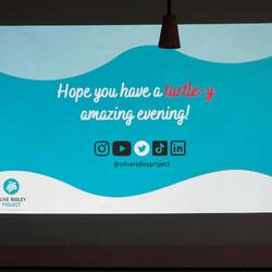 Olive Ridley Project