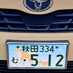 Who wouldn't want a license plate w/ an Akita on it...??