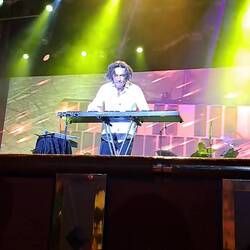 'Flight of the Bumblebee ' -- a true test of any artist's abilities!