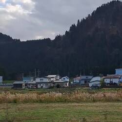 We took a shinkanzen (bullet train) back to Akita.