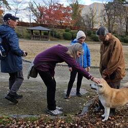 And of course there's an Akita!!
