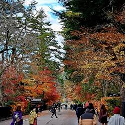 I'll call this 'Samurai Street'; the homes flank both side of this road that's not likely too old.