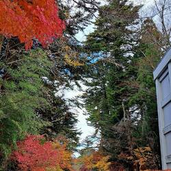 The colors were specTACular!