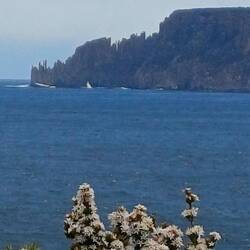 View to Cape Raoul