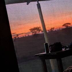 Sunrise from bed
