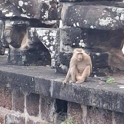 BEWARE.....will bite