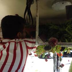 Another bus - a bonsai tree and a tiny Japanese garden, two ladies in plastic, and a Buddha.