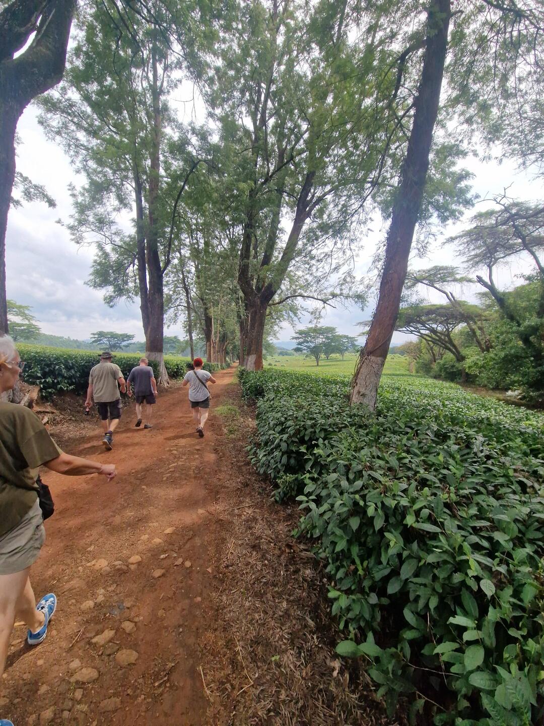 Der Abstieg beginnt bei schönstem Wetter