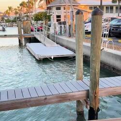 Horace dines on tiny smelt-like fish swimming innocently around in the marina