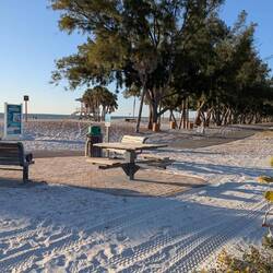 Here's another Rosie beach photo