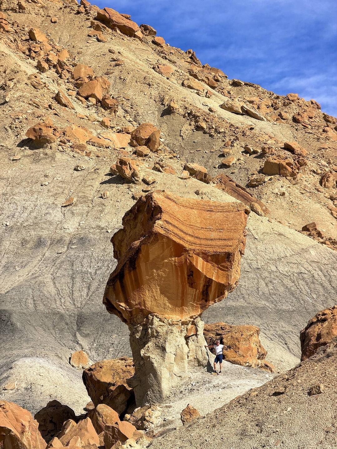 Erst im Vergleich ist die schiere Größe zu erkennen