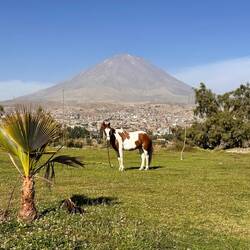 Vulkan mal anders 🤣