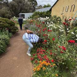 Smelling the roses, minus the bees.