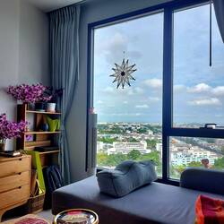 Üppiger Blumenschmuck: Bündelweise frische Orchideen für umgerechnet insgesamt 2,70€ incl. Lieferung