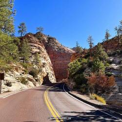 Unterwegs auf dem Zion - Mount Carmel Hwy