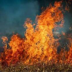 So sieht es statt dessen aus 😢