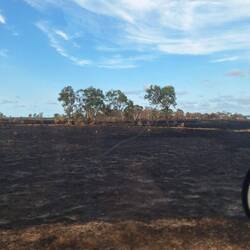 Immer wieder teils noch warme Waldbrandflächen