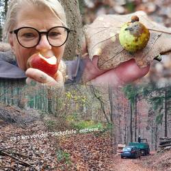 Sehr anstrengender Aufstieg