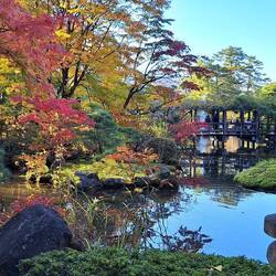 Roaming around Hakusan Park. Mom nature was truly in Her element.