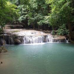 Nr.2: วังมัจฉา (Wang Matcha)