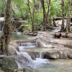 Nr. 6: ดงพฤกษา (Dong Phueksa)