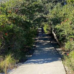 Durchgang vom Strand zum North Campground