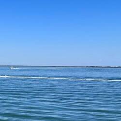 Look out for the locals! It's Saturday!