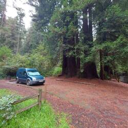 Der Platz mit eigenem Redwood.