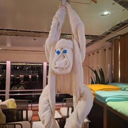 Towel monkey