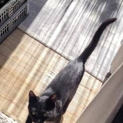 Die kleine schleicht sich immer wieder in unser Fahrzeug