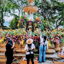 Parque Central laufen die Vorbereitungen für das Blumenfest