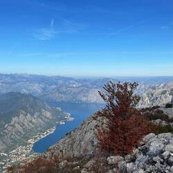Bucht von Kotor mit Kotor