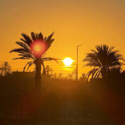 Im Campingplatz angekommen! Morgen geht's zum Kamelmarkt!