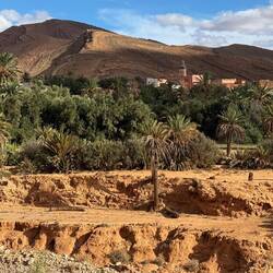 Ifrane, eine wunderschöne Oasenstadt