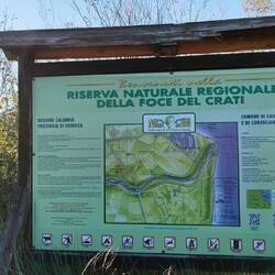 Nix zu sehen, aber viel zu hören 🐦‍⬛🐦🦆🦅