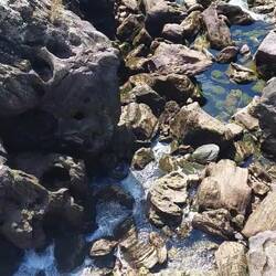 Die Schleusentore werden geöffnet