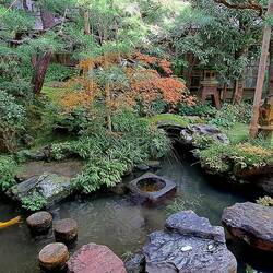 A garden w/in the home.