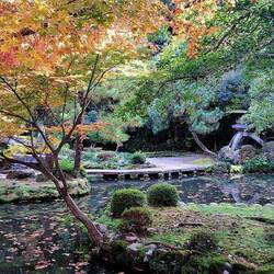 Castle Park & Gardens