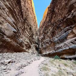 ...durch diese Schlucht müssen sie kommen... ...Skywalker, Paul und Lawrence...