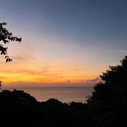 Letzte Nacht im Dschungel schlafen, nachts kann es tatsächlich sehr laut sein durch Affen und co