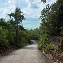 Der Abstieg vom Hotel zur Hauptstraße