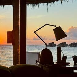 Hello gorgeous! ☀️