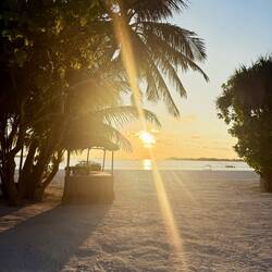 Sunset ... headed to turtles!