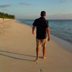 Going to dig up ... a nest! 😂